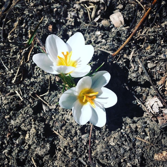 Meet your Posher, Maria - Picture 1 of 1